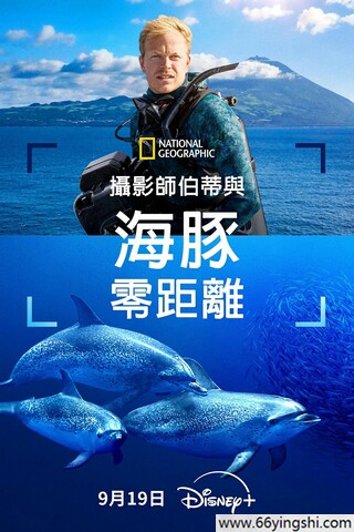 去英雄化深夜食堂车